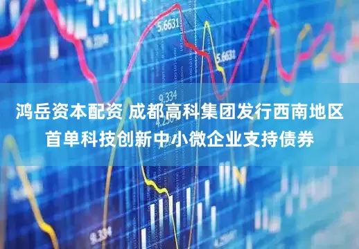 鸿岳资本配资 成都高科集团发行西南地区首单科技创新中小微企业支持债券
